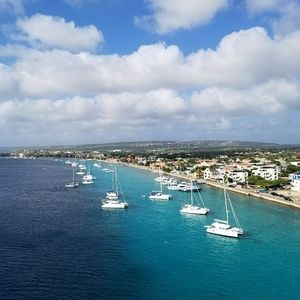 Meet your Posher, Elaine